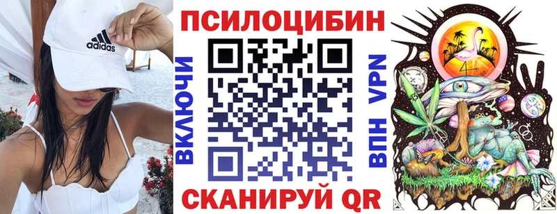 KRAKEN ССЫЛКА Шимановск Галлюциногенные грибы мухоморы